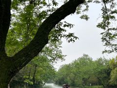 -西溪国家湿地公园