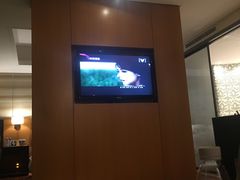 -成都明宇丽雅饭店