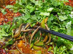 -乐山第一家临江鳝丝(茶坊路店)