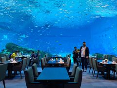 餐饮设施-上海海昌海洋公园