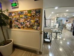 -AFA Hair studio·女士发型设计