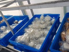 -来噻布布 Lets BUBU