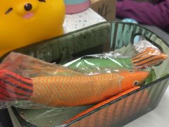 -半岛宠物医院24小时(白果林店)