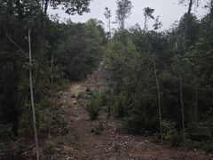 -青龙山国家森林公园