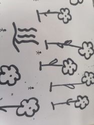 -凡碧诗毛孔清洁收细