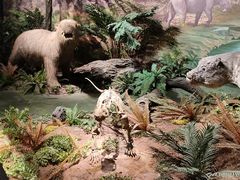 -湖南省地质博物馆