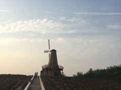 -大塘金香草谷
