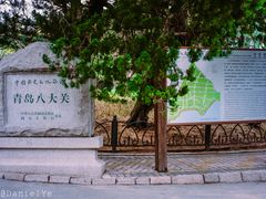 -八大关景区