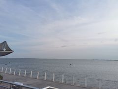 -碧海金沙