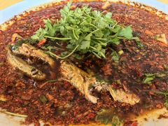 -胖大姐黄辣丁鱼庄(新津店)