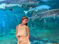 -华夏文旅西安度假区