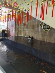 -荟华楼金店(中街店)