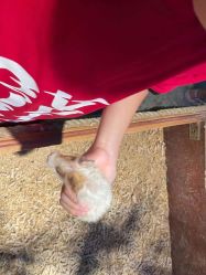 -酷嗒动物文化乐园(cutezoo西溪乐天城店)