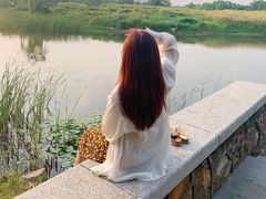 -尚贤河湿地