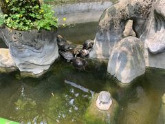 -道教老君洞