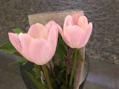 -大食代美食广场(上海中心店)
