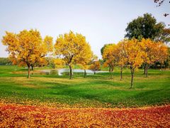 -北京京辉高尔夫俱乐部有限公司