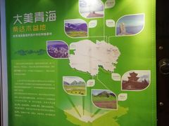 -西宁市东关清真大寺