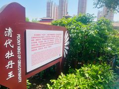 -曹州百花园