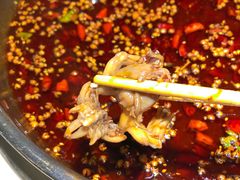 -味之绝美蛙鱼头火锅(高新店)