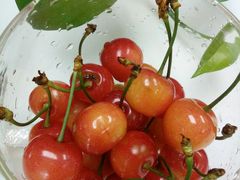 -PAGODA百果园(台柳路凯德广场店)