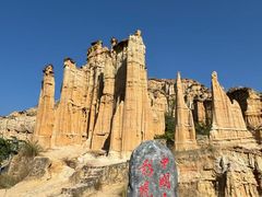 -元谋土林景区(物茂土林)