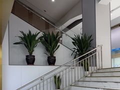 -美可普口腔医院(东街分店)
