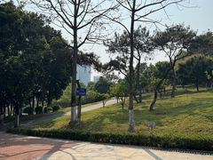 -玉树公园