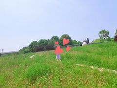 -秀丽东方