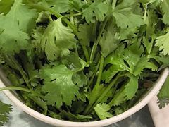 -草原传奇鲜羊火锅(桥北店)