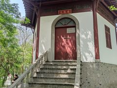 -上海佘山国家森林公园天马山园