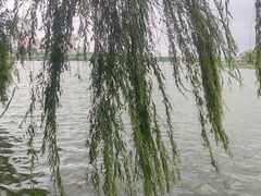 -济南大明湖景区