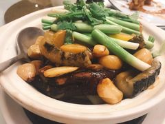鲍鱼焖鹅掌煲-广州酒家(文昌总店)