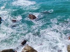 -广东惠东海龟国家级自然保护区