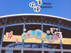 -泉城欧乐堡海洋极地世界