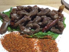 -蒙料·手把肉(望京店)
