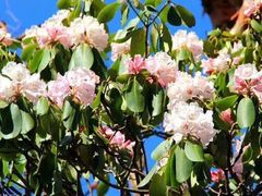 -终南山国家森林公园