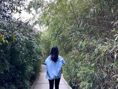 -西安汉城湖景区