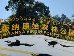 -西双版纳原始森林公园