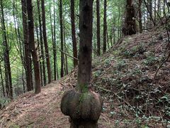 -山王坪喀斯特国家生态公园