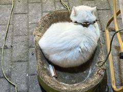 -蘭心餐厅(进贤路店)