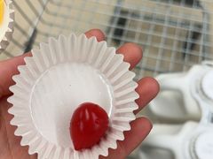 -盒马X会员店(王府井奥莱UP TOWN店)