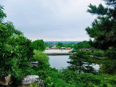 -北京西山国家森林公园