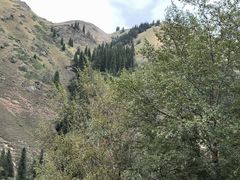 -新疆那拉提国家旅游度假区