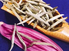 -养心斋涵信茶艺茶道培训