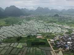 -会仙湿地