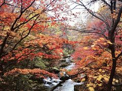 -本溪老边沟风景区