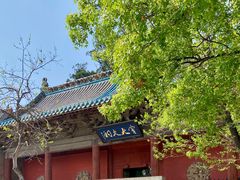 -窦大夫祠