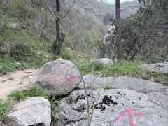 -抱龙峪