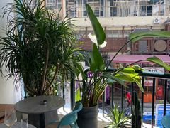 -Nectar One Cafe(勇烈路n1店)